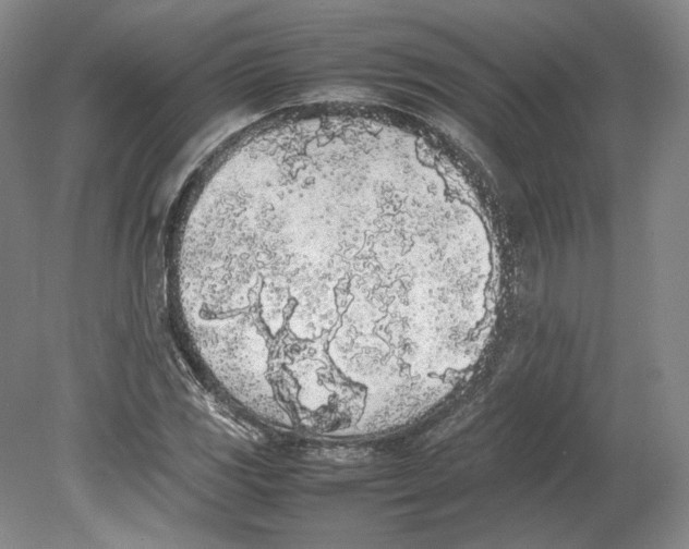 X0000080781117200701051320