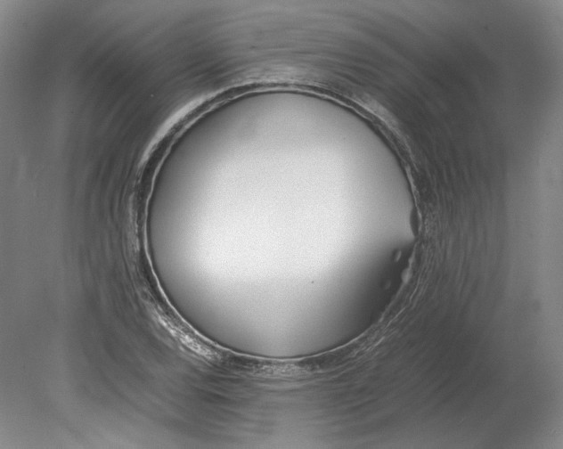 X0000080781120200701051320
