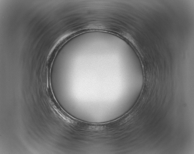 X0000080781123200701051320