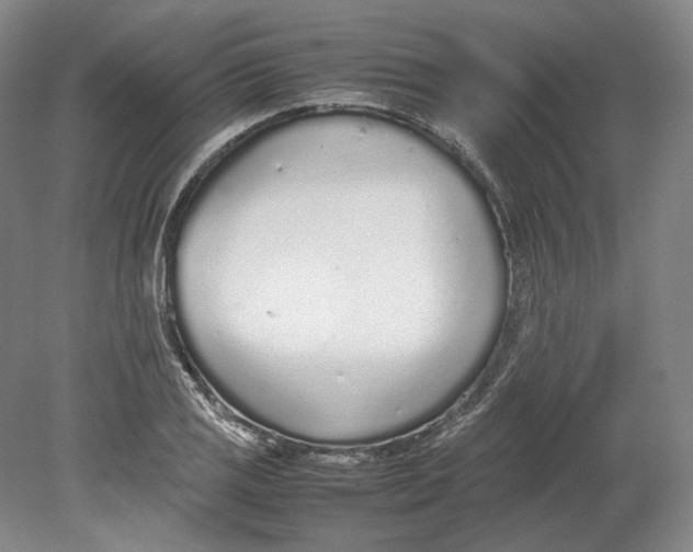 X0000080781125200701051320