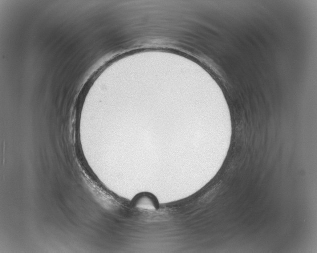 X0000080781126200701051320