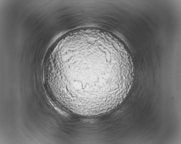 X0000080781127200701051321
