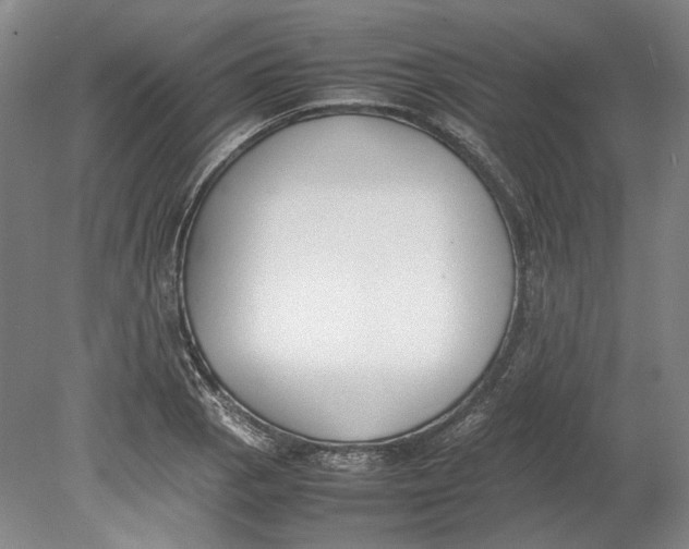 X0000080781129200701051321