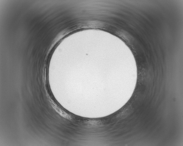 X0000080781130200701051321