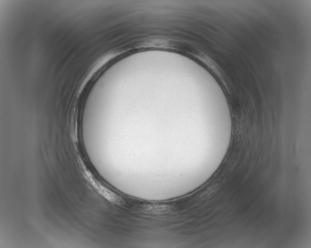 X0000080781131200701051321