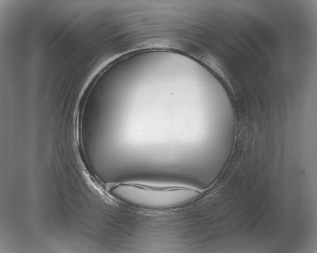X0000080781132200701051321