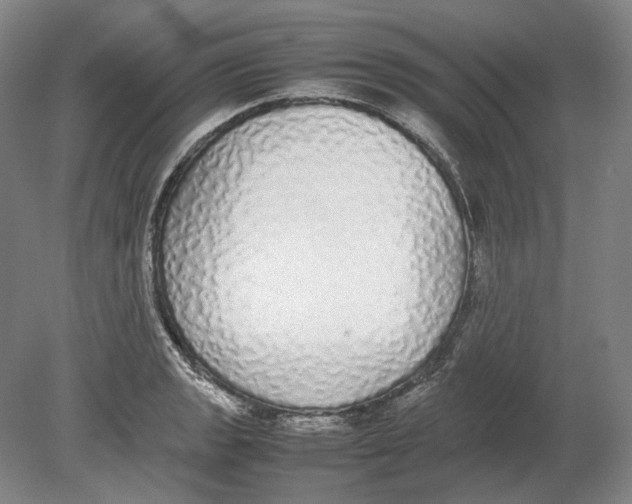 X0000080781133200701051321