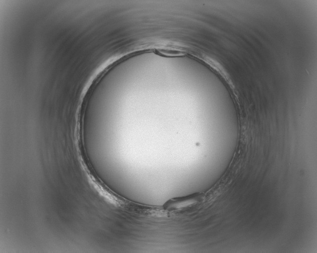 X0000080781136200701051321