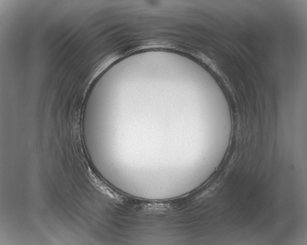 X0000080781137200701051321