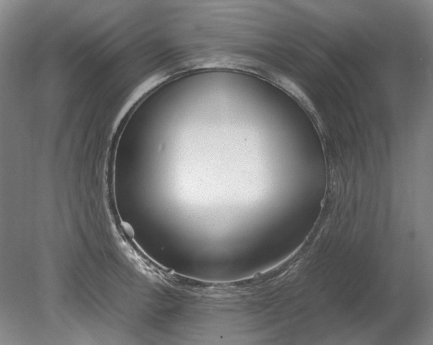 X0000080781138200701051321