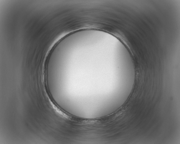X0000080781143200701051321