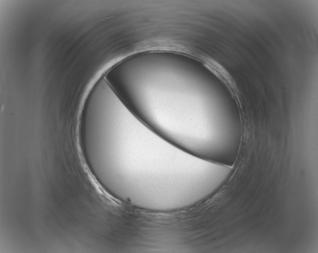 X0000080781144200701051321