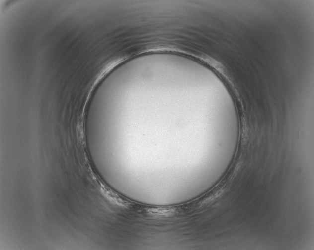 X0000080781145200701051321