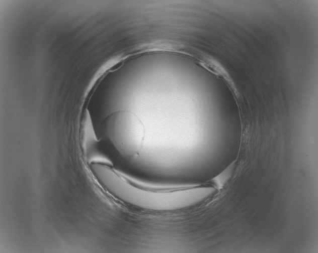 X0000080781146200701051321