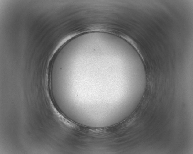 X0000080781147200701051321