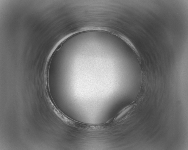 X0000080781148200701051321