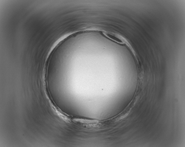 X0000080781149200701051321
