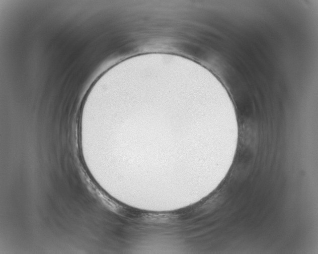 X0000080781150200701051321