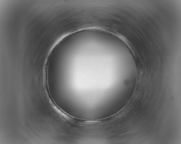 X0000080781151200701051321