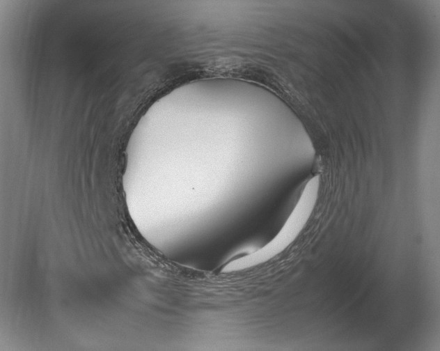 X0000080781153200701051320