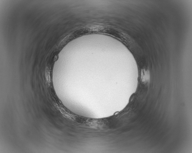 X0000080781155200701051320