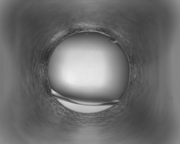 X0000080781157200701051320