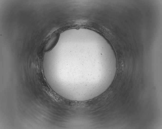 X0000080781158200701051320