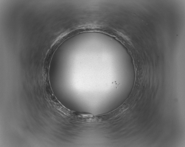 X0000080781160200701051320