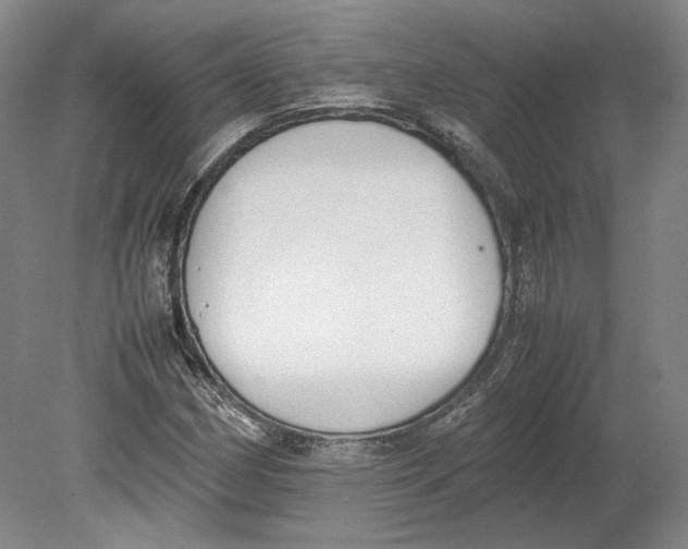 X0000080781162200701051320
