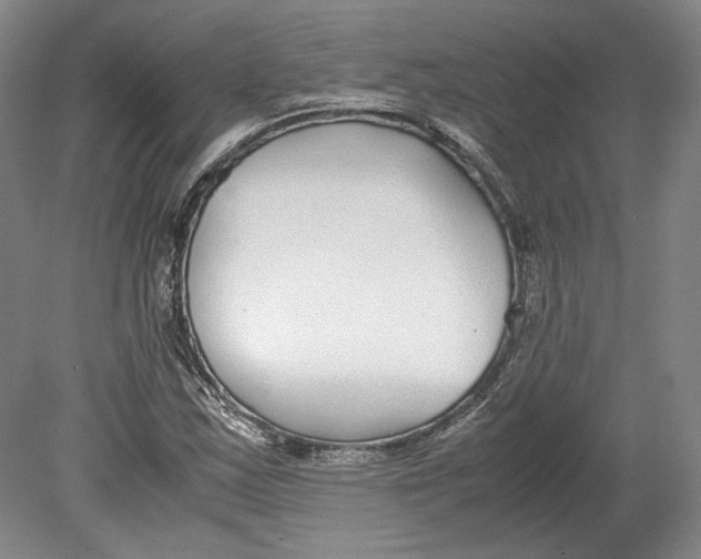X0000080781163200701051320