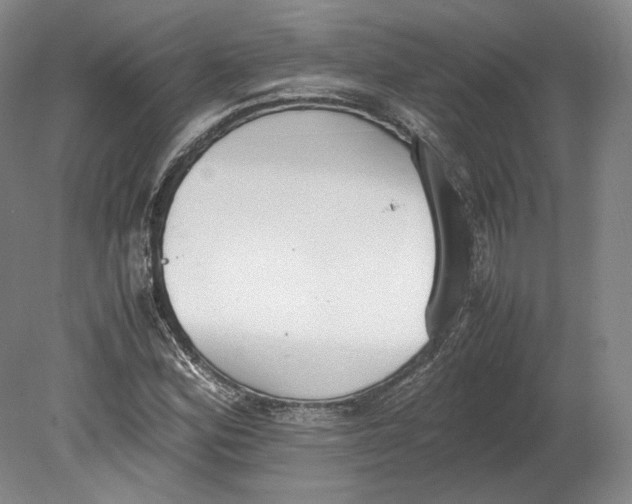 X0000080781164200701051320