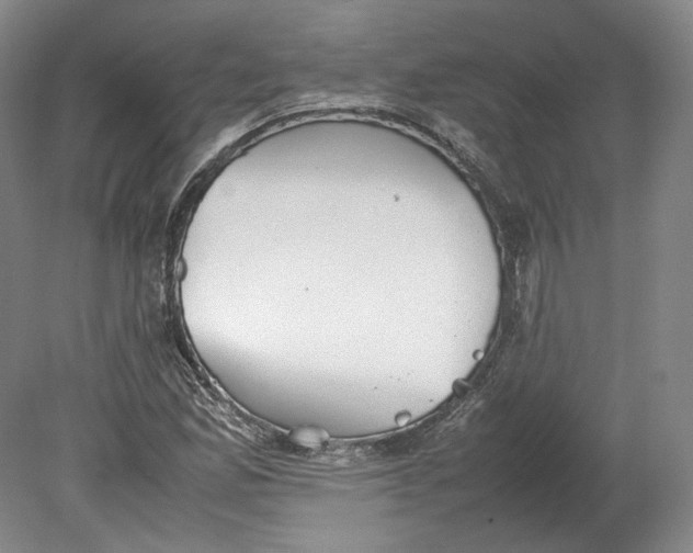 X0000080781165200701051320