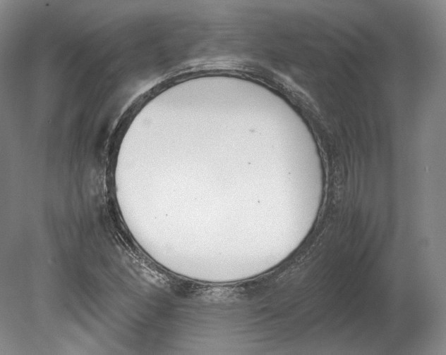X0000080781166200701051320