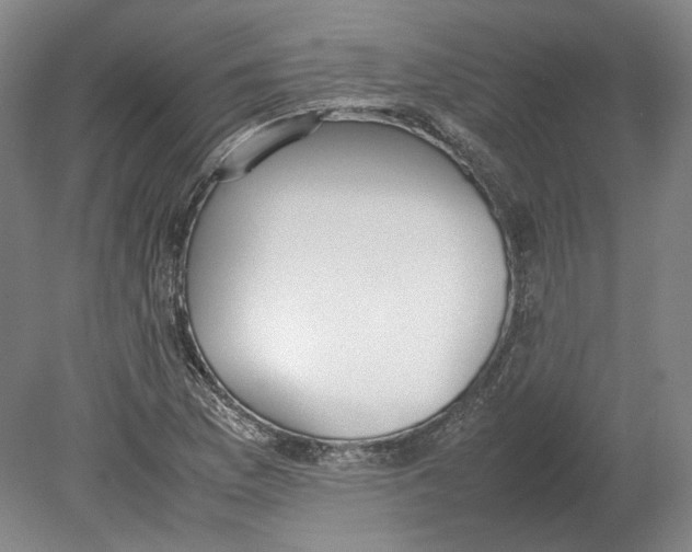 X0000080781169200701051320