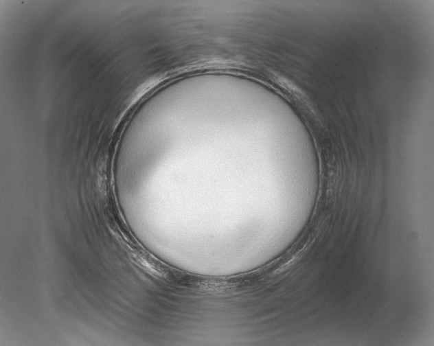 X0000080781170200701051320