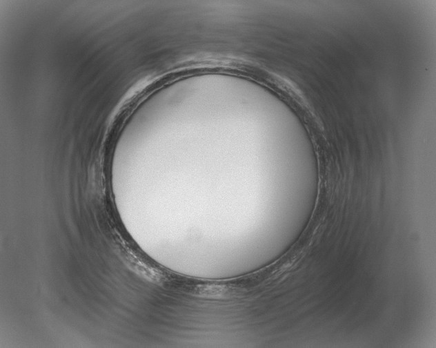 X0000080781172200701051320