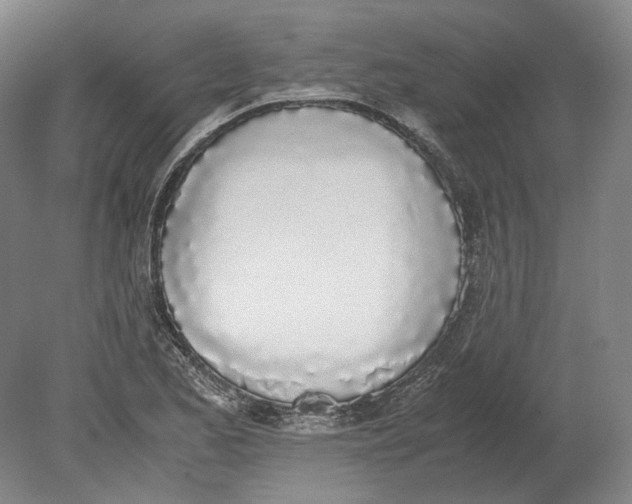 X0000080781173200701051320