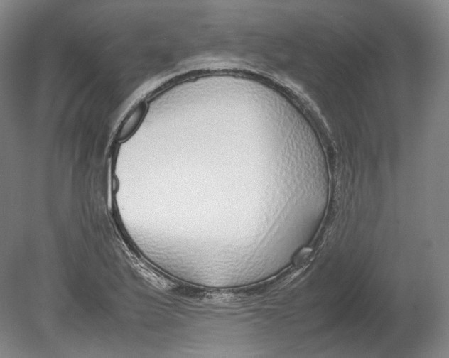 X0000080781175200701051320
