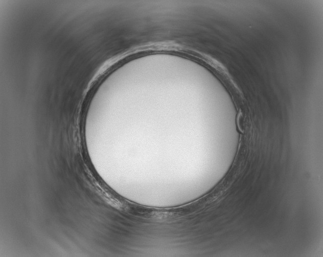 X0000080781176200701051320