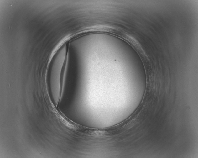 X0000080781180200701051320