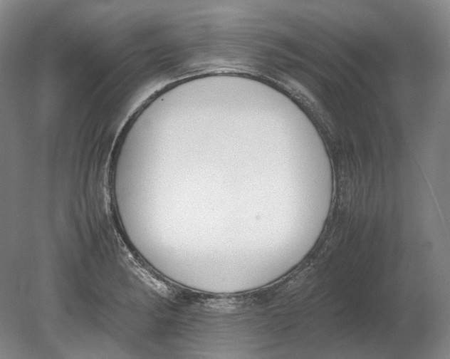 X0000080781182200701051320