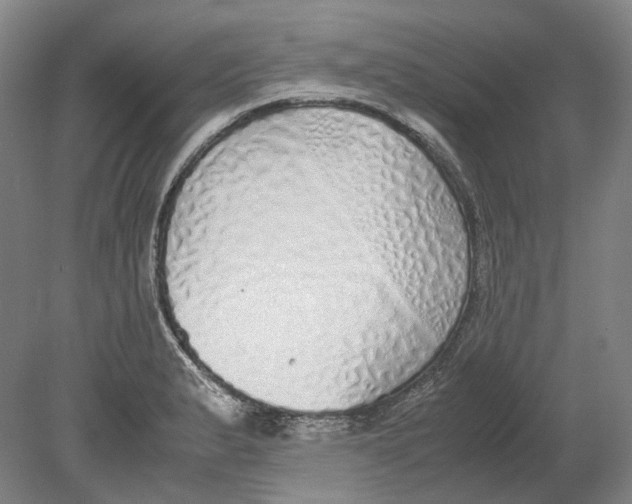 X0000080781183200701051320