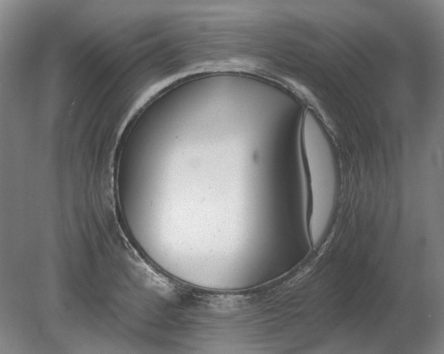 X0000080781184200701051320