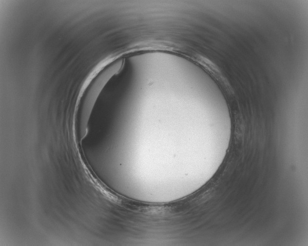 X0000080781188200701051320