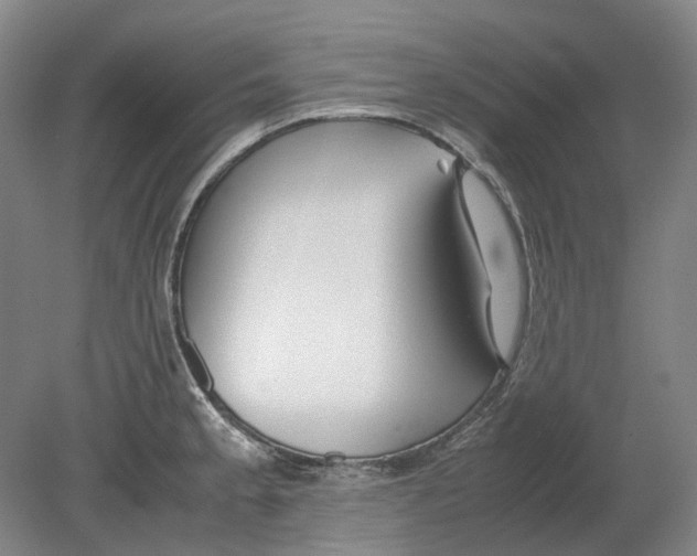 X0000080781189200701051320