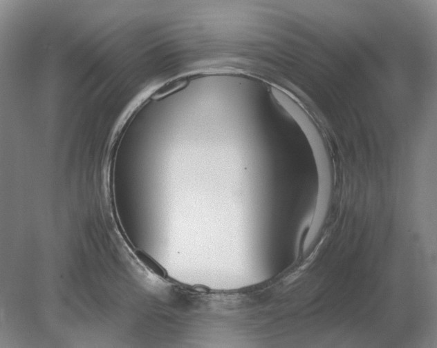 X0000080781196200701051319