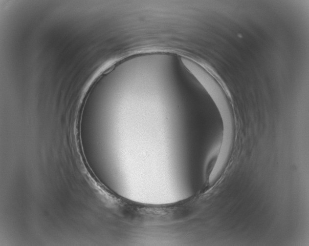 X0000080781197200701051319