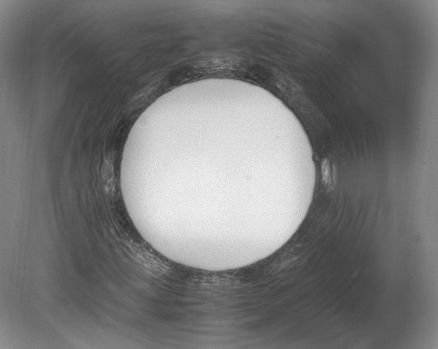 X0000080781203200701051319