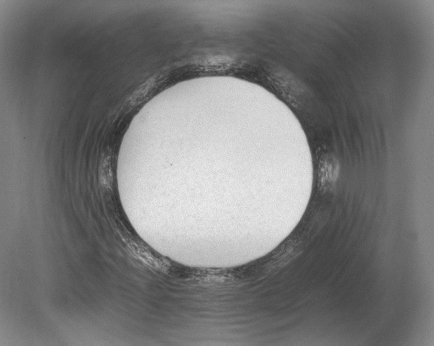 X0000080781204200701051319