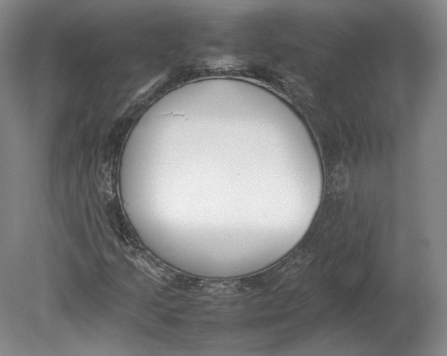 X0000080781205200701051319